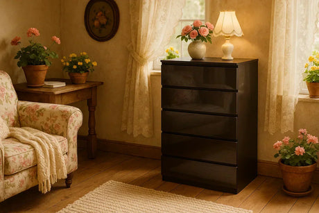 Sleek black chest of drawers in cozy vintage-style living room.