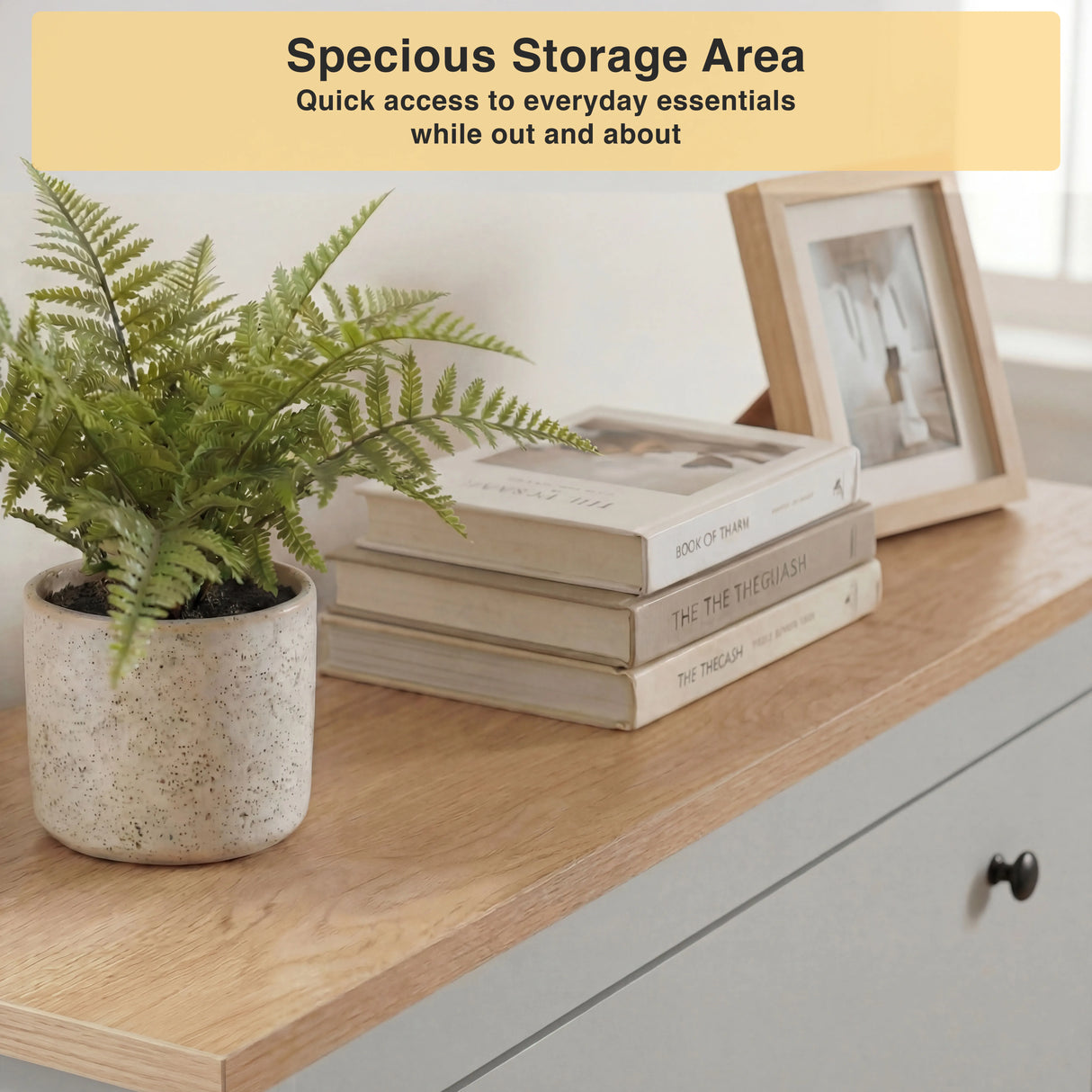 Modern Shoe Cabinet With Drawers | 2 Door Shoe Storage