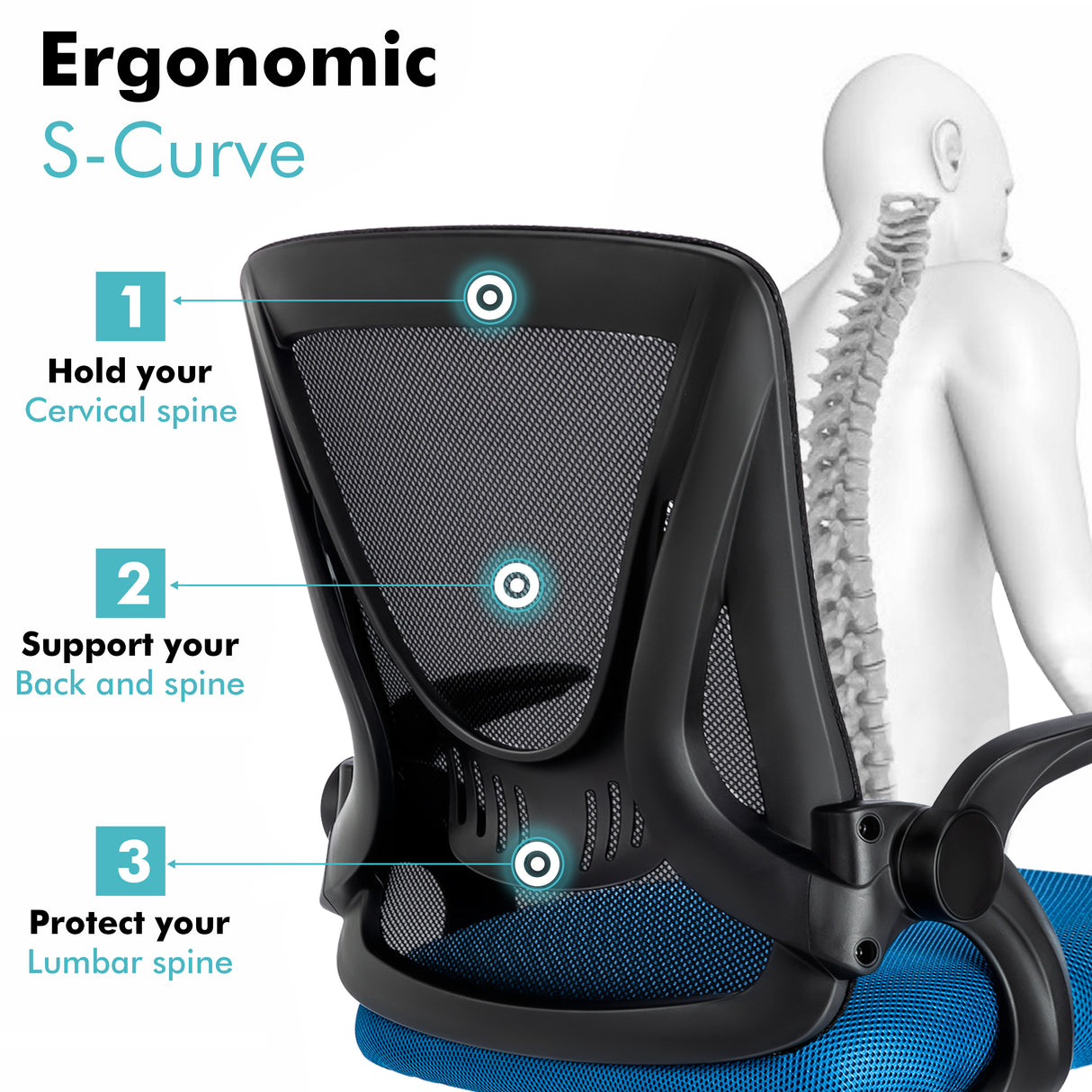 Black and blue office chair with ergonomic mesh backrest, promoting healthy posture for long working hours.