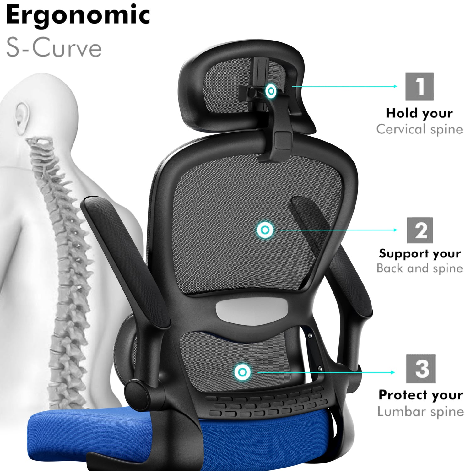 Blue and black lumbar support chair highlighting S-shaped backrest for posture support.