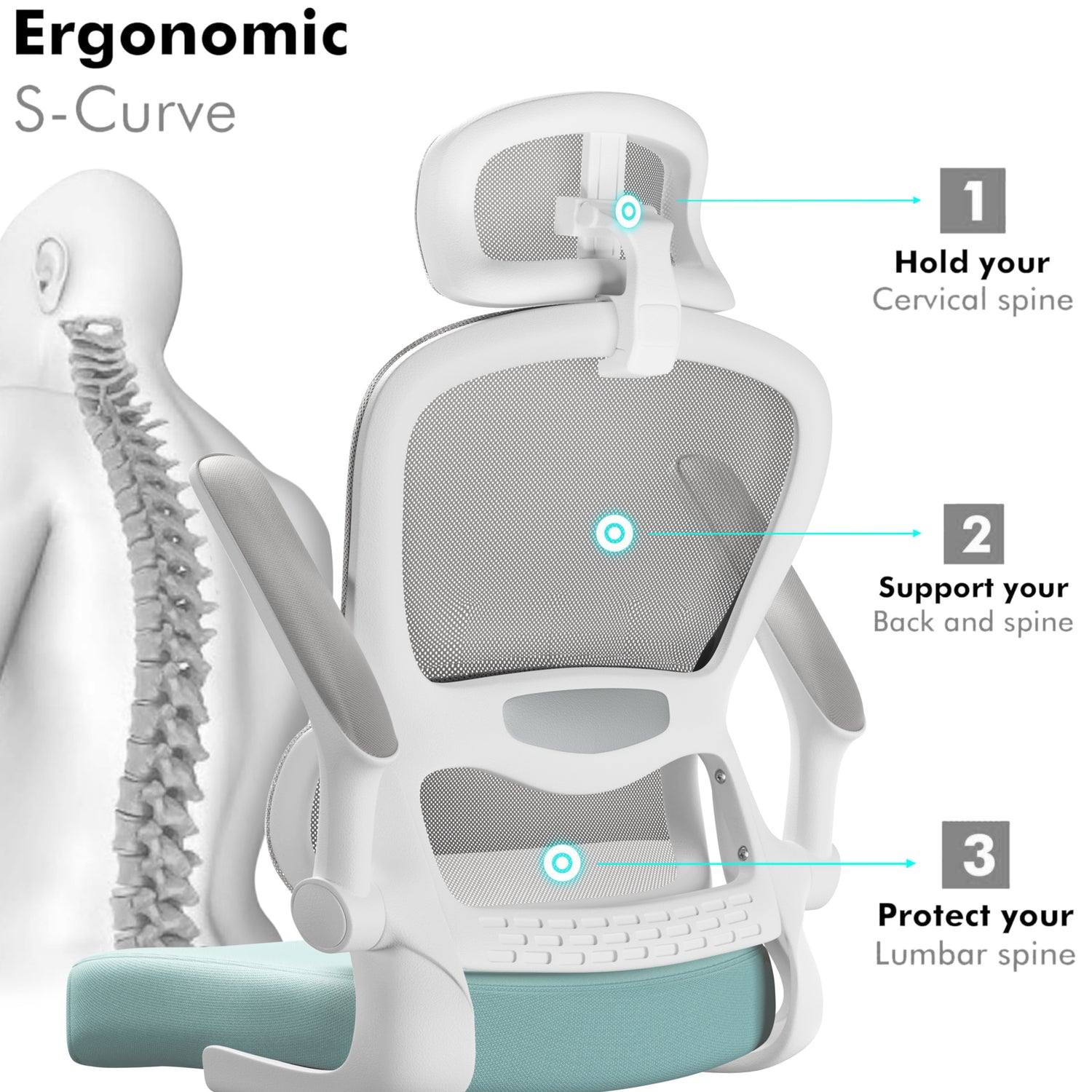 Ergonomic S-curve ergonomic chair backrest with breathable mesh and padded armrests in Tiffany Blue and grey.