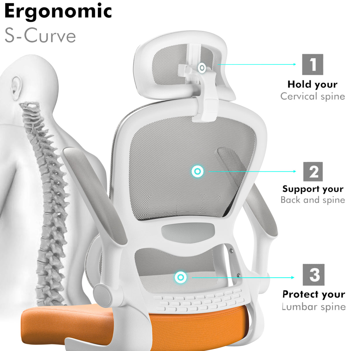 Ergonomic S-curve mesh office chair with orange seat showing lumbar, back, and cervical spine support. Ideal for posture and back pain relief.
