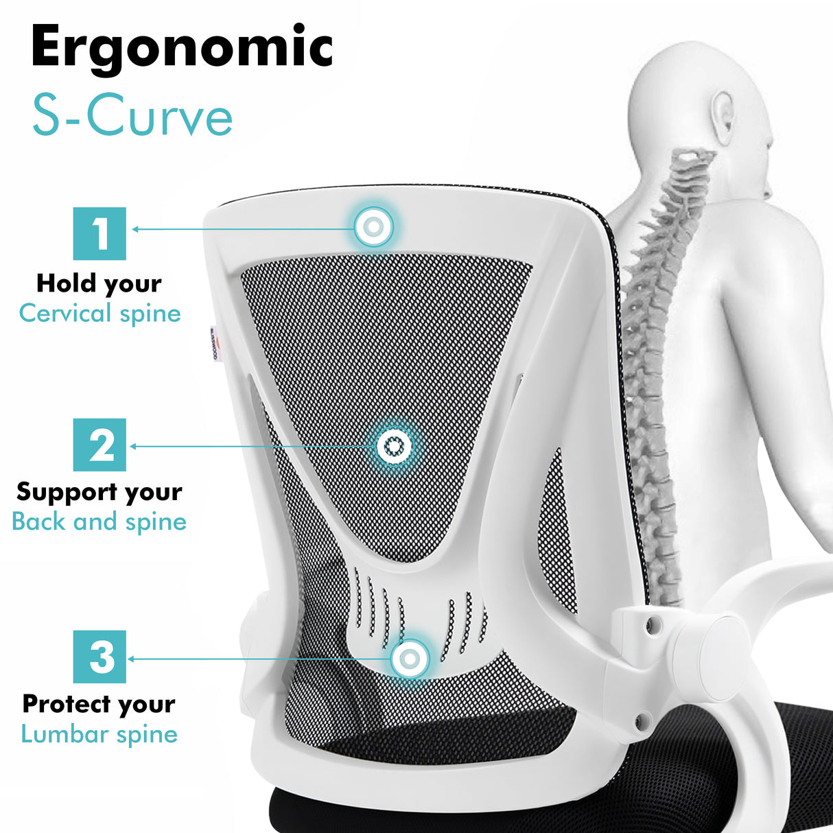 White lumbar support chair with mesh backrest designed to promote spine health and comfort.