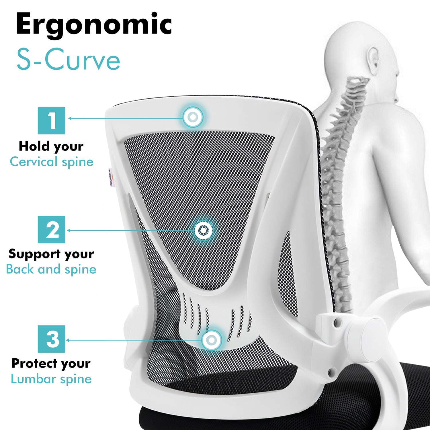 White lumbar support chair with mesh backrest designed to promote spine health and comfort.