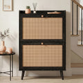 Wovena Rattan Black 2 Door Shoe Storage Cabinet Hallway