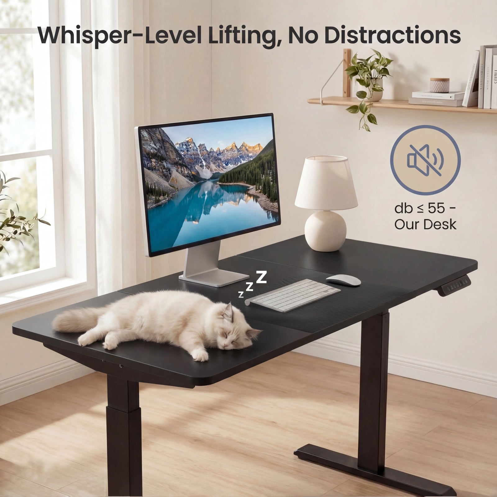 [110cm x 60cm] close-up of 110cm x 60cm black desk top: cat curled by keyboard, lamp glowing and 55dB icon