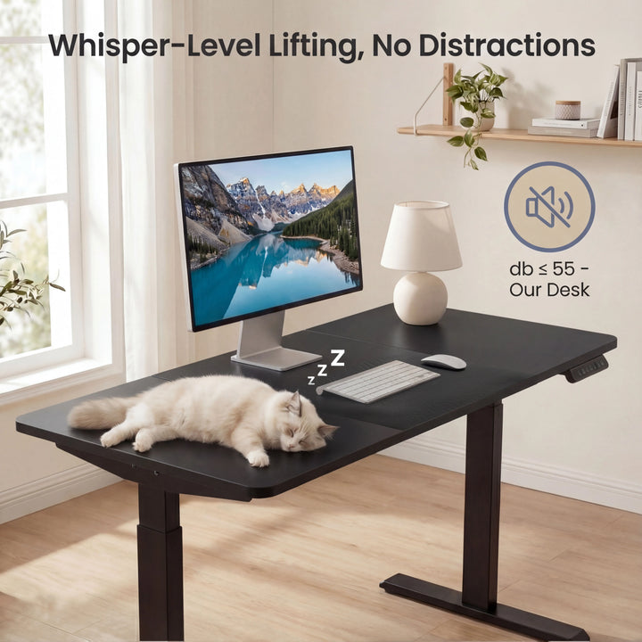 [110cm x 60cm] close-up of 110cm x 60cm black desk top: cat curled by keyboard, lamp glowing and 55dB icon