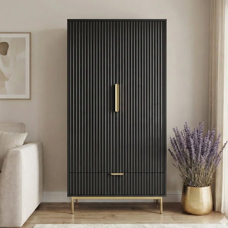 [Black]  painted 2 door wardrobe with integrated lower drawer in modern room setting with natural lighting