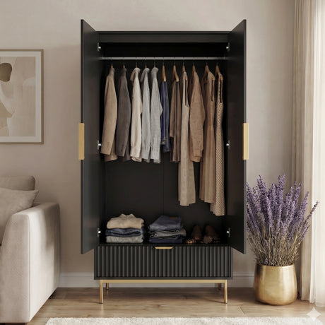 [Black] Flutrina black two door wardrobe interior layout with hanging rail and bottom drawer storage space