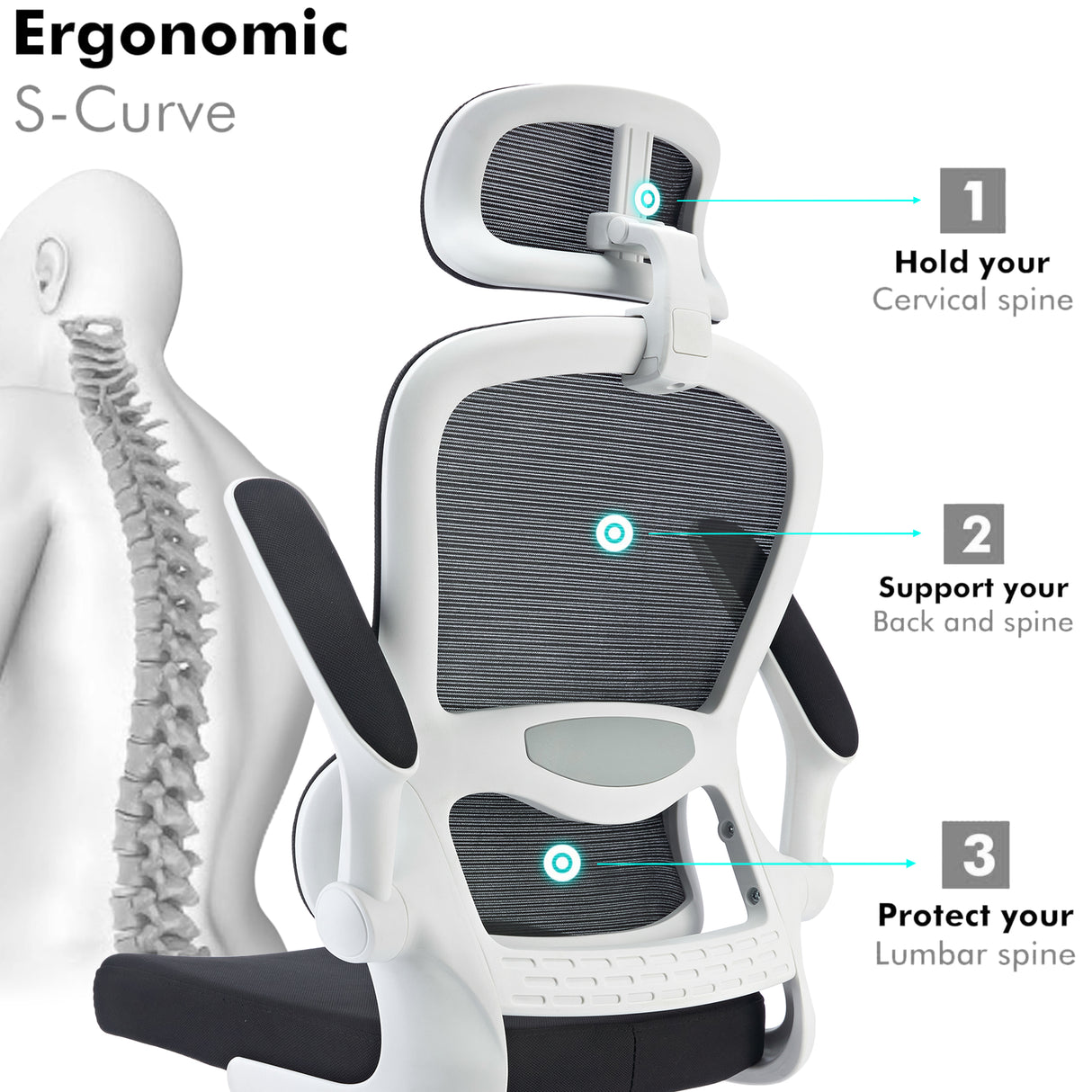 Black and white ergonomic S-curve office chair with lumbar support and modern design