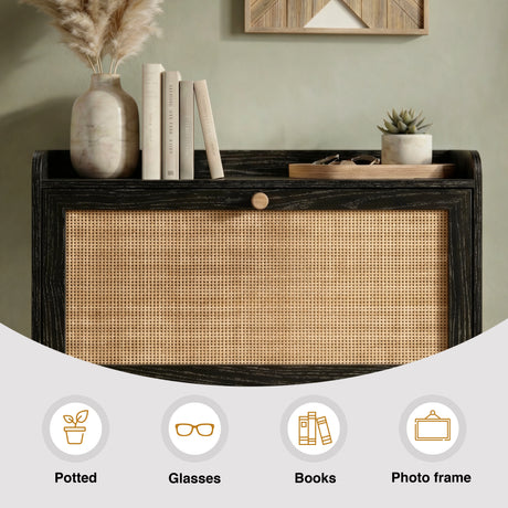 [Black] Wovena shoe cabinet top shelf close-up styled with books, sunglasses tray, and succulent, with icons showing compatible display items including photo frame