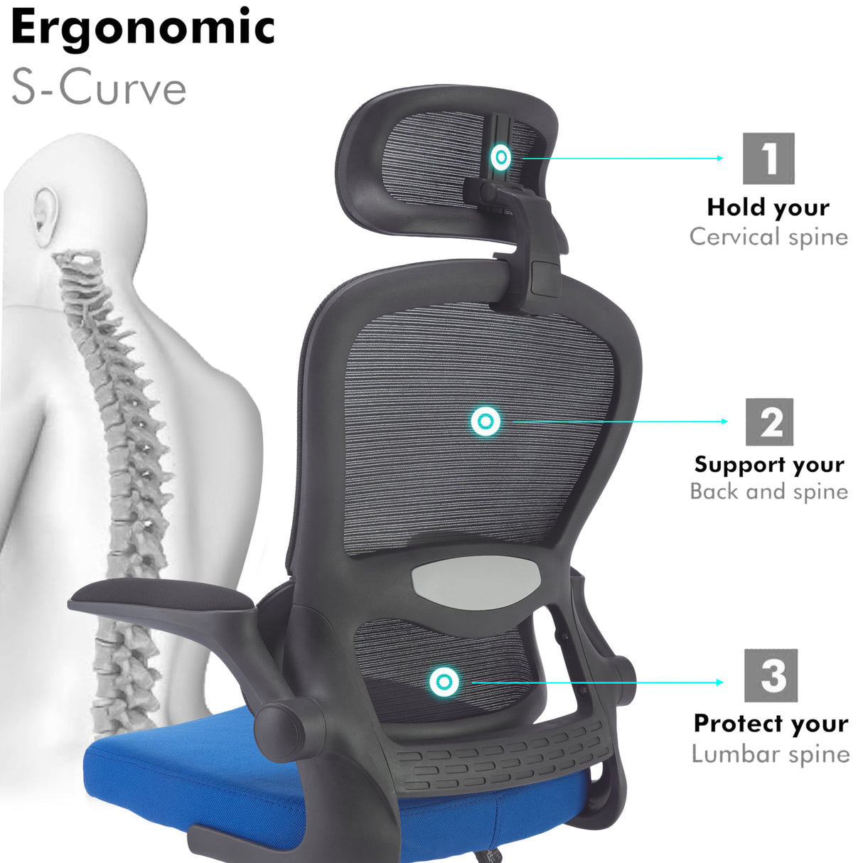 Blue Black S-Curve Office Chair – Ergonomic, Adjustable, Comfortable Work & Gaming Seat