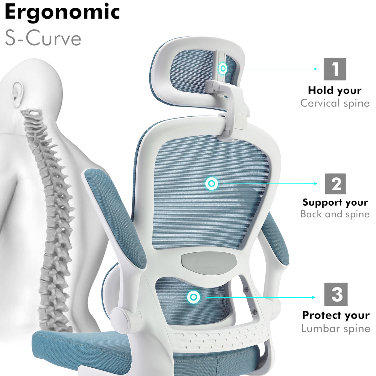 Blue ergonomic S-curve office chair with lumbar support and adjustable features.