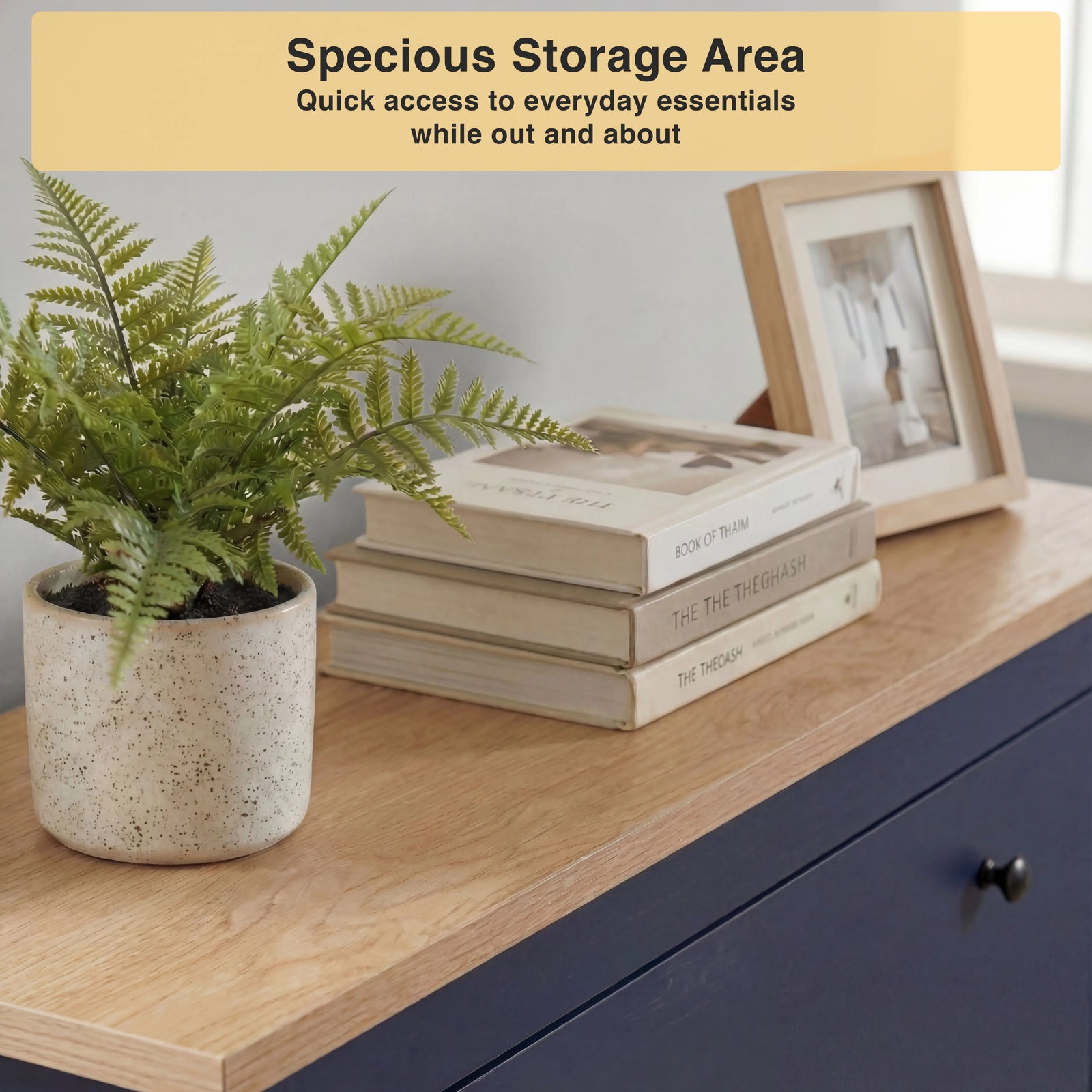 [Blue] Close-up view of the natural wood top surface 2 Door Shoe Cabinet styled with books and a plant.