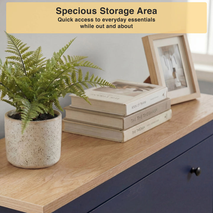 [Blue] Close-up view of the natural wood top surface 2 Door Shoe Cabinet styled with books and a plant.