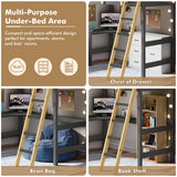 A bunk bed with space underneath, showing a multi-purpose area with a desk, drawers, bean bag, and bookshelf.