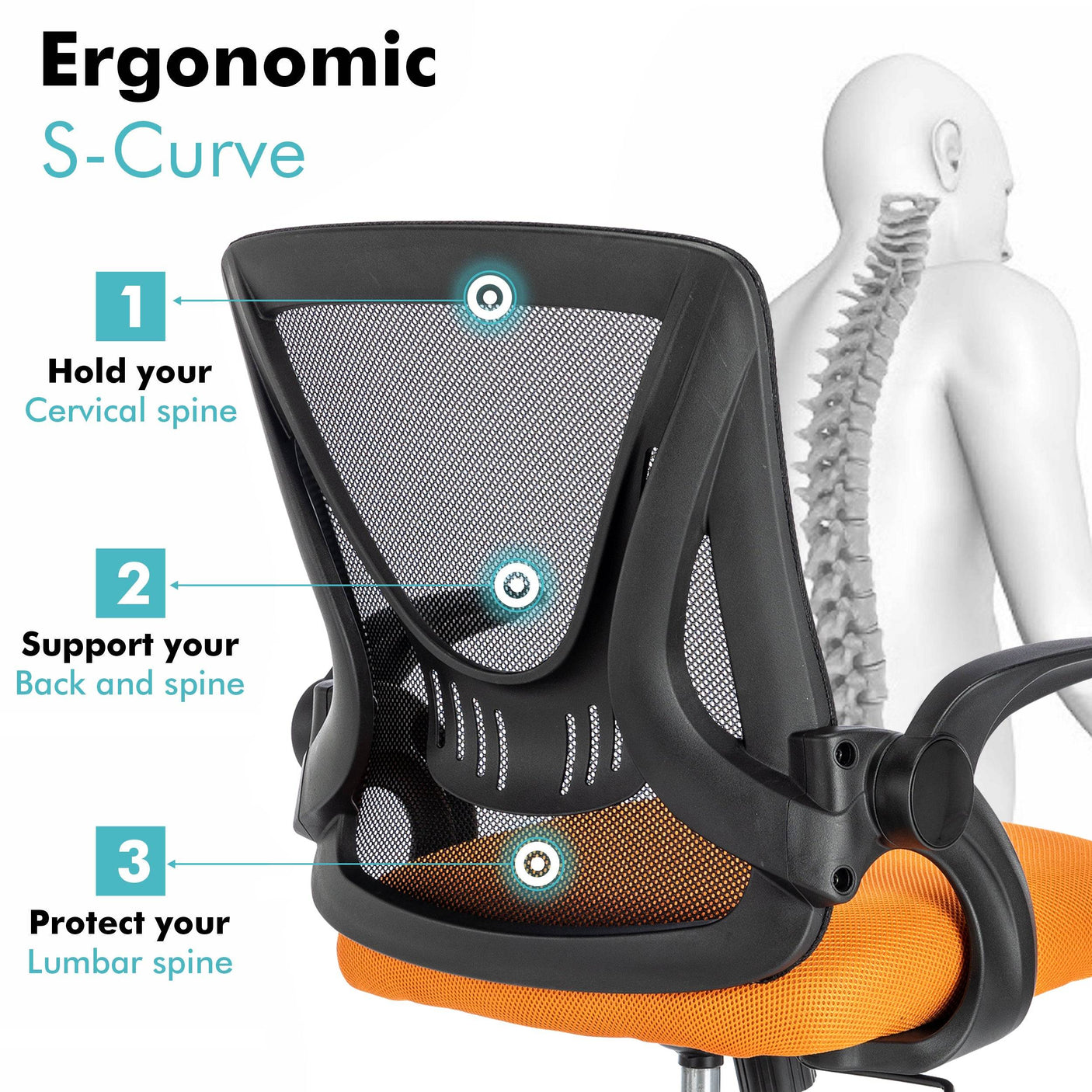 Ergonomic S-curve chair for small desks, providing optimal support and comfort.