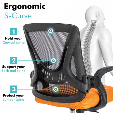 Ergonomic S-curve chair for small desks, providing optimal support and comfort.