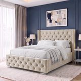 [Double | Beige] A modern upholstered bed with a tufted beige headboard and footboard, styled in a contemporary bedroom with a dark blue paneled wall, matching rug, and bedside tables.