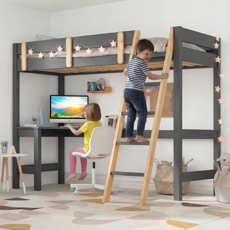 [Dark Grey + Pine] bed frame back view of loft bunk bed with angled pine ladder and desk workspace visible below