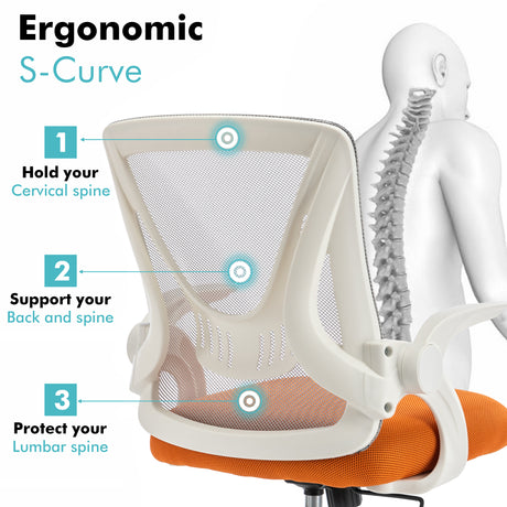 Compact desk and chair set for small spaces, featuring an ergonomic S-curve design for comfort.