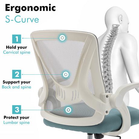 Ergonomic desk chair for small spaces, designed with an S-curve for optimal support and comfort.