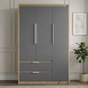 [Grey] A tall three-door wardrobe with  grey doors, silver handles, and two lower drawers with silver pulls, set in a styled room with a wood-look frame, a potted plant, and neutral paneled walls.