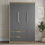 [Grey] A tall three-door wardrobe with  grey doors, silver handles, and two lower drawers with silver pulls, set in a styled room with a wood-look frame, a potted plant, and neutral paneled walls.