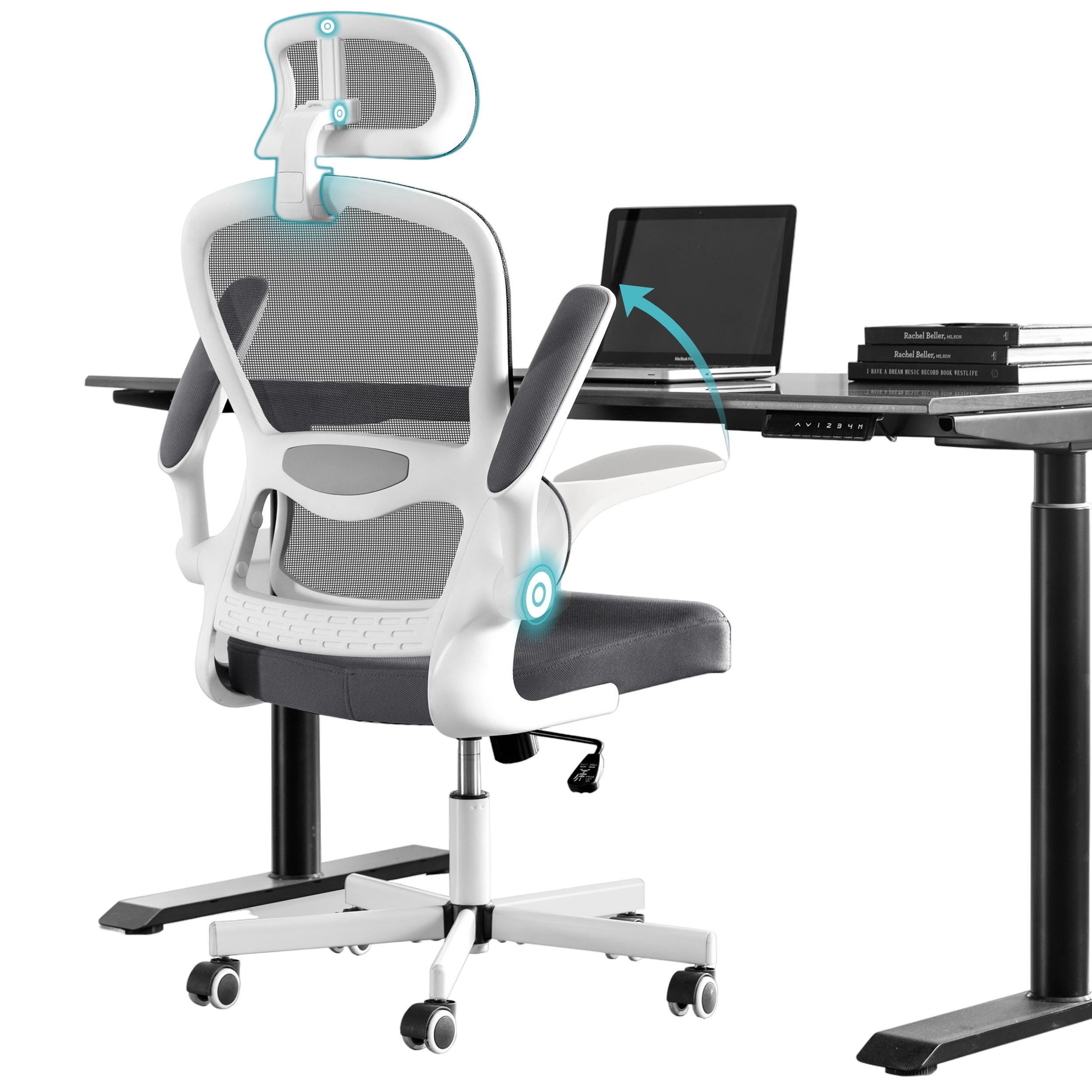 mesh office chairs