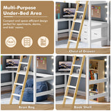 high single bed with desk showing multi-purpose under-bed area with desk, drawers, bean bag, and bookshelf.