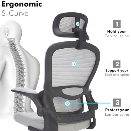 Light grey ergonomic S-curve office chair with lumbar support and modern design