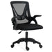 Discover Blisswood mesh ergonomic office chair for enhanced comfort and posture support.