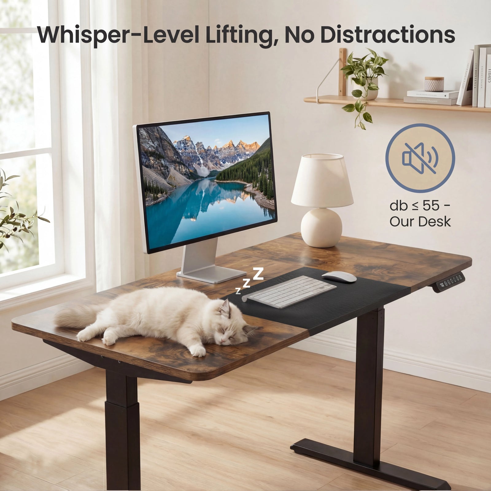 [120cm x 60cm] Under-55db quiet operation on rustic 120cm standing desk, a cat sleeps on the rustic-brown top
