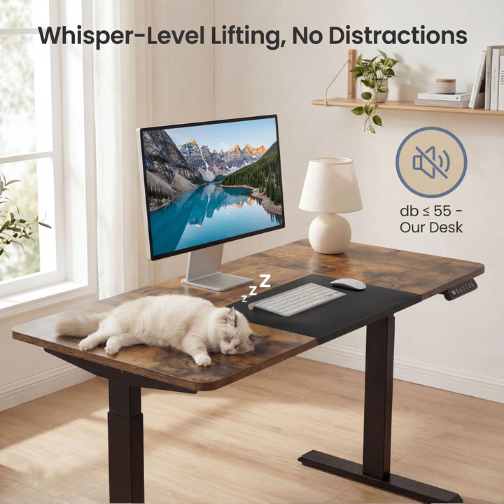 [120cm x 60cm] Under-55db quiet operation on rustic 120cm standing desk, a cat sleeps on the rustic-brown top