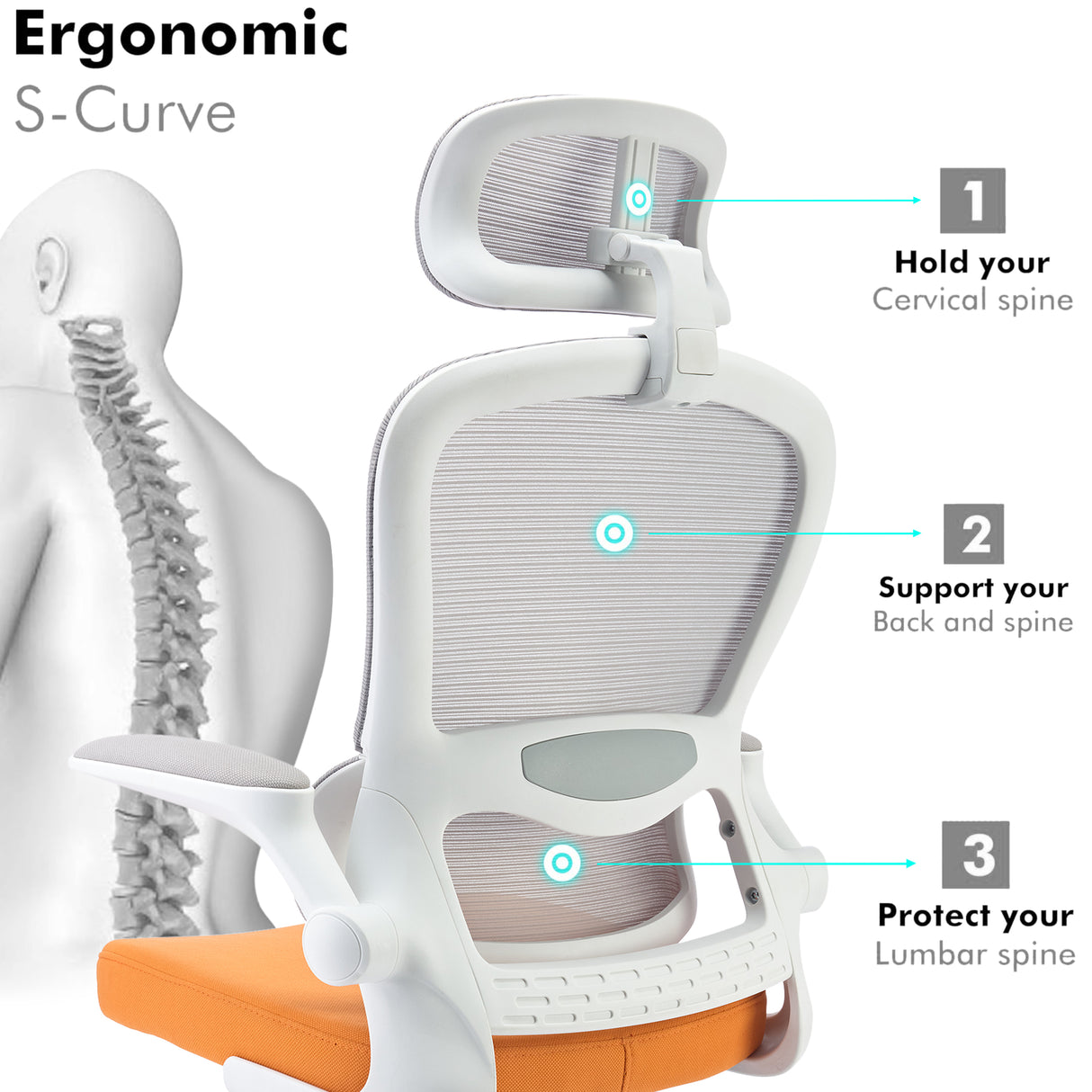 Ergonomic S-curve orange office chair with lumbar support and adjustable features.