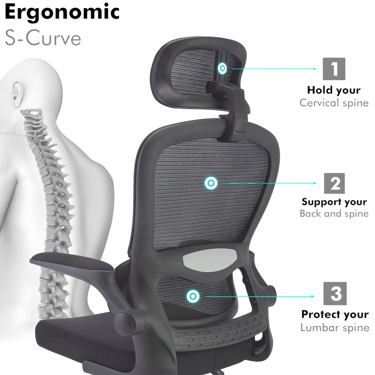 S-curve office chair with headrest – ergonomic design for lumbar support and comfort.