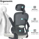 Buy S Curve Office Chair to Support Your Back and Spine for Ultimate Comfort.