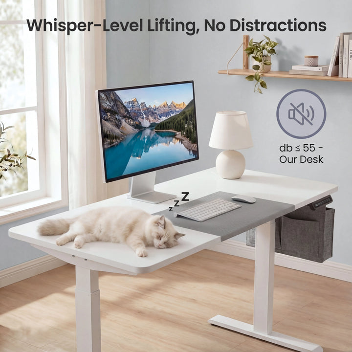 [160cm x 70cm] White electric standing desk 160x70cm with ginger cat asleep on top beside monitor, under 55 dB lift