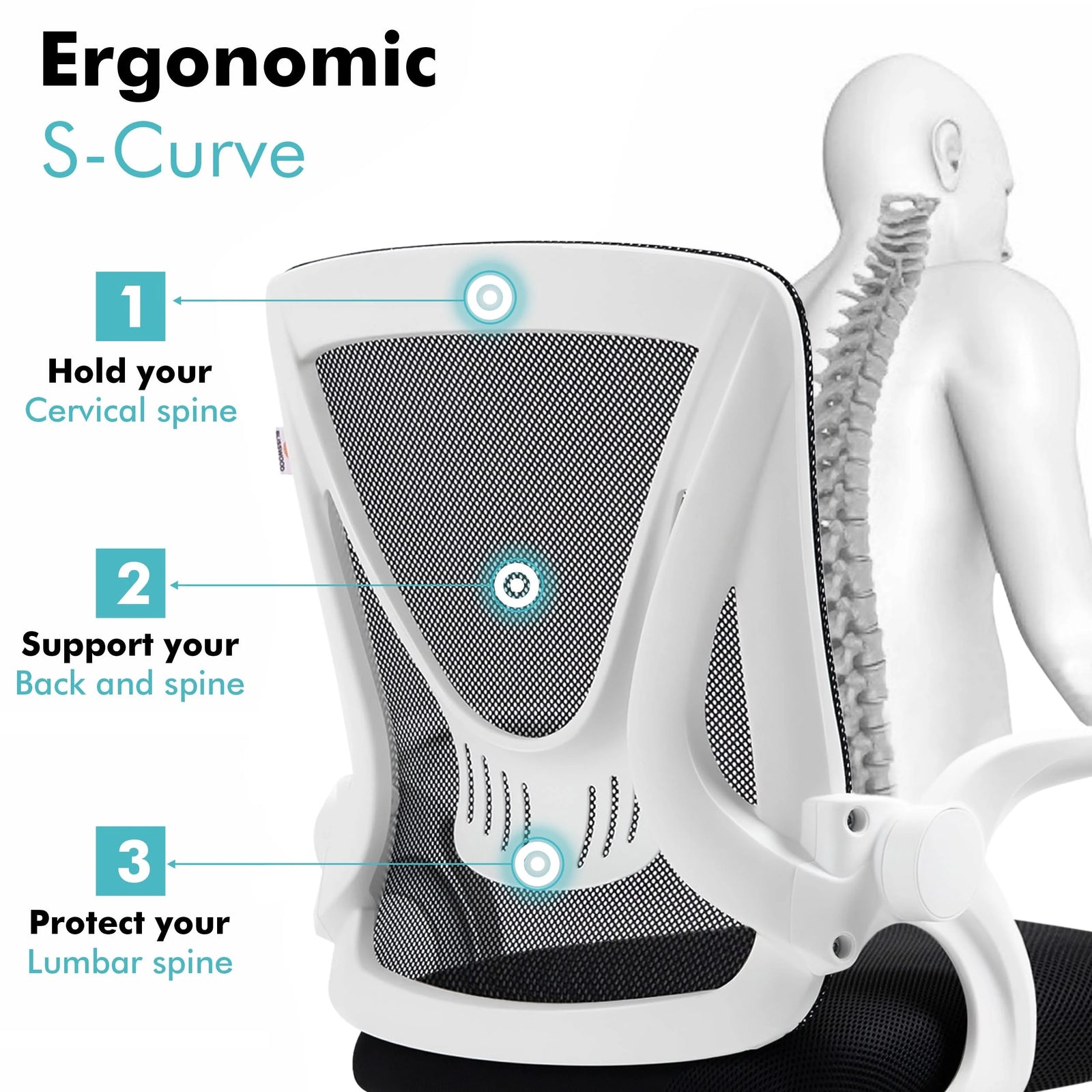 [White] White lumbar support chair with mesh backrest designed to promote spine health and comfort.