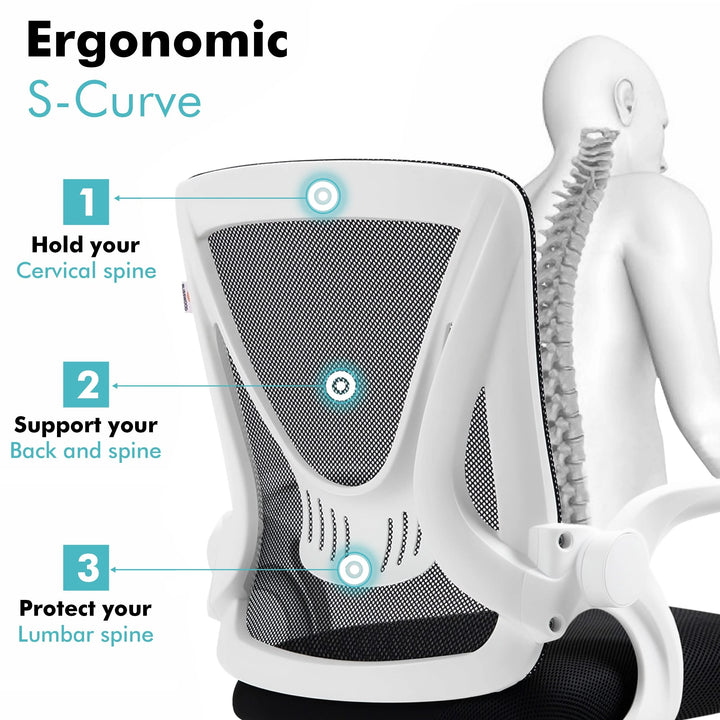 [White] White lumbar support chair with mesh backrest designed to promote spine health and comfort.