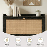[Black] Wovena Rattan Black 2 Door Shoe Storage Cabinet top shelf close-up styled with marble pampas vase, stacked books, and succulent with item icons below