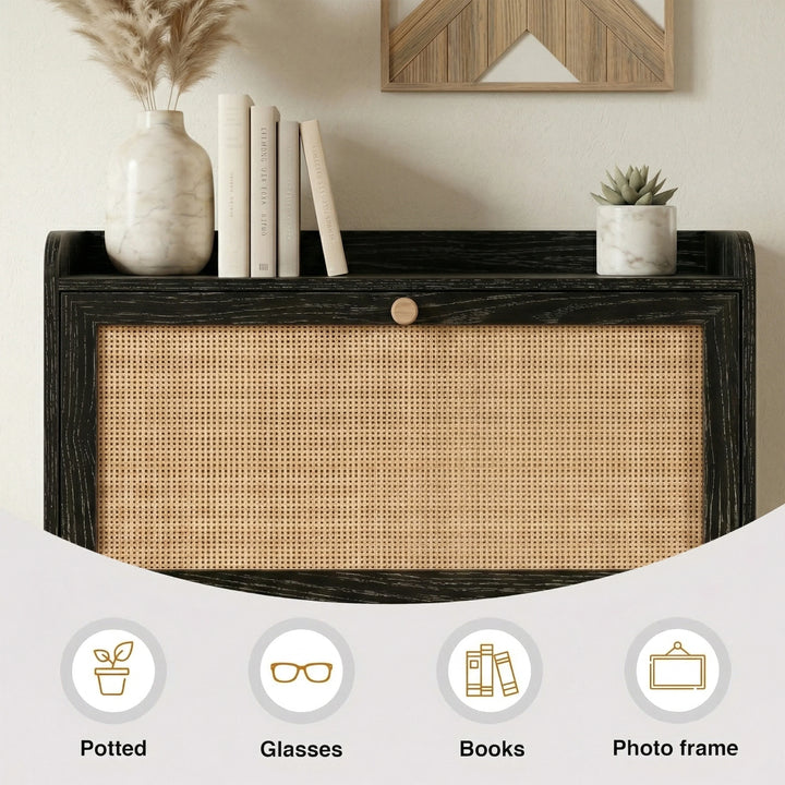 [Black] Wovena Rattan Black 2 Door Shoe Storage Cabinet top shelf close-up styled with marble pampas vase, stacked books, and succulent with item icons below